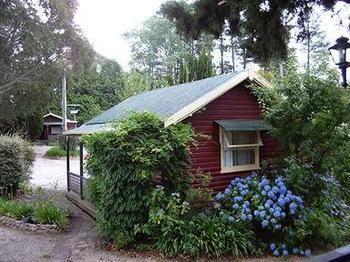 Cedar Lodge Cabins Mount Victoria Εξωτερικό φωτογραφία