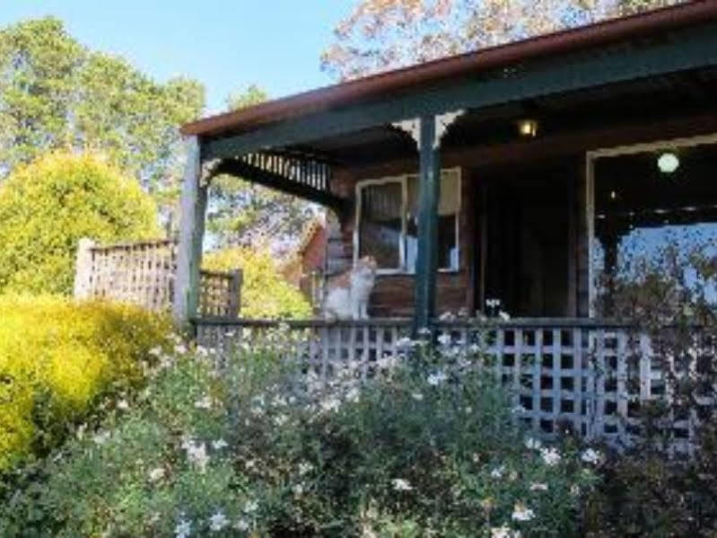 Cedar Lodge Cabins Mount Victoria Εξωτερικό φωτογραφία